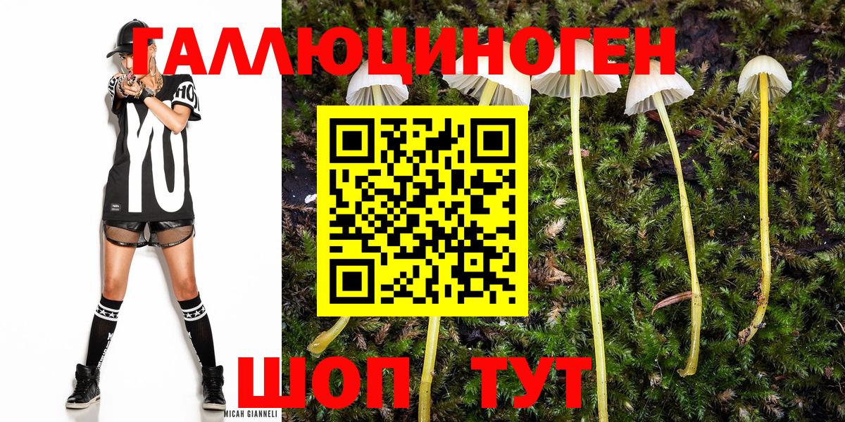 Лянтор  Галлюциногенные грибы Cubensis  Псилоцибиновые грибы мицелий  Вход с VPN 